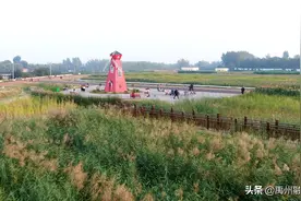 禹州湿地公园初妆成，秋水白莲映红楼图片