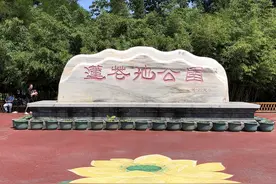 【FENG采】月季丛中，尽赏莲花池公园古城风华图片
