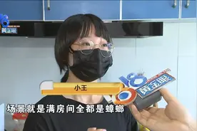 自如租房第一晚，姑娘大战蟑螂：心态崩了图片