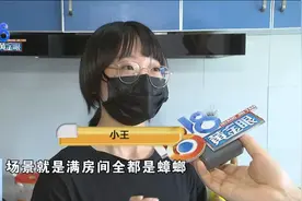 自如租房第一晚，姑娘大战蟑螂：心态崩了图片
