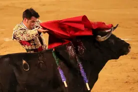 牛有色盲症，对红颜色不敏感，斗牛为什么还用红布呢？图片