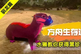 方舟手游驯龙篇：驯服实用小帮手水獭，是轻松获取黑珍珠的关键视频封面