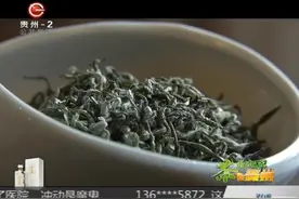 说茶：享誉海内外的贵州名茶，都匀毛尖！视频封面