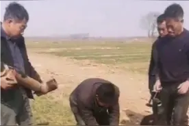 解决农村土地灌溉难题，采用水龙头浇地，全国推广哦