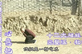 大和尚说 ：少林上乘武学心意把十二大腿桩功，震寺古传秘籍教学