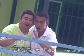 两只狗竟然谈起了恋爱！