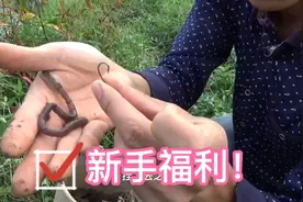 野钓时用蚯蚓做饵怎样选择鱼钩，小伙分享实用经验！视频封面