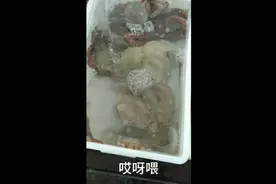 福州松下码头，渔民满载而归，热热闹闹的视频封面