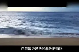 一般海水要么是蓝的，要么就是碧绿的，你有听说过两种颜色的海吗
