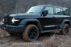 坦克300前后差速锁，2H切换4H和4L，（蠕行)越野巡航模式使用方法