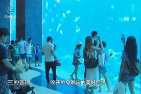 三亚：亚特兰蒂斯水世界开启夜场，暑期游再添夜间经济新元素视频封面