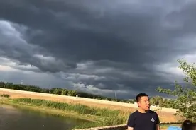 北京有免费摘桑葚得地方？全家出动去采摘体会吃起来容易摘起来难视频封面