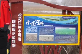 国家投资的示范工程佳木斯柳树岛会越来越美丽视频封面