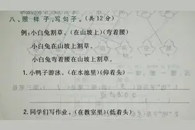 一年级语文，照样子写句子专项训练，小兔子在山坡上割草视频封面