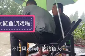 成都安靖东风渠野钓，鲤鱼裸斑都上，为什么赶紧收杆了呢