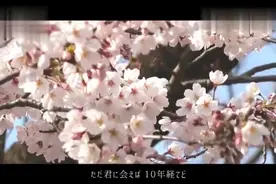 日语版-刚好遇见你视频封面