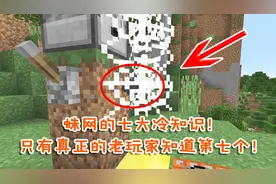 我的世界盘点：蛛网的七大冷知识！只有真正的老玩家知道第七个！