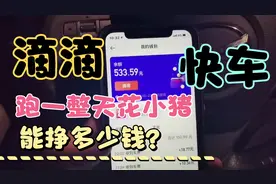 体验跑一整天花小猪🐷究竟能挣多少钱？可不可以继续干下去？视频封面