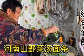河南小伙挖点野菜，奶奶拿来做汤面条，绿色健康又爽口，农村独有视频封面