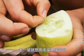 农村老爷爷常用这味草药给家禽接骨，这种土方法还有多少人知道？