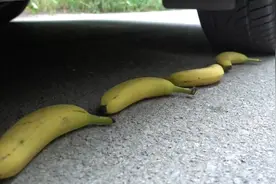 减压实验：汽车 vs 小青蛙车轮下的各种声音真的减压请勿模仿