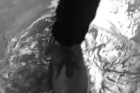 好恨我自己视频封面