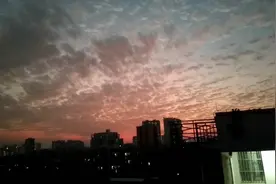一个家庭主妇的三点一线是怎么样的？视频封面