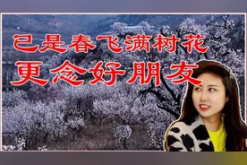 贾浅浅火了，高考250分当副教授没人管！我17年前词，能评教授？视频封面