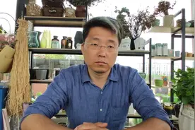 薄荷叶片发黄的原因，日常薄荷养护，如何解决薄荷叶片发黄