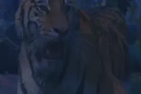 武松力大无穷找准机会，骑在老虎身上对老虎一顿猛捶