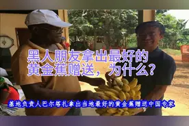 黑人朋友拿出当地最好的黄金蕉赠送中国专家，为什么？视频封面