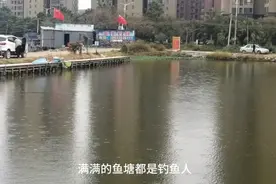 东莞长安野塘视频封面