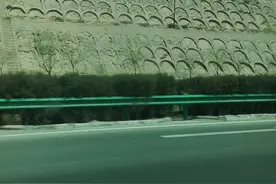 甘肃的山为什么不长树视频封面