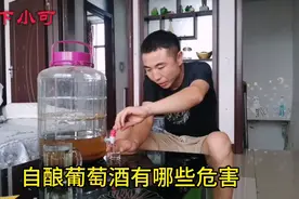 自酿葡萄酒能不能喝？有哪些危害？长见识了。视频封面