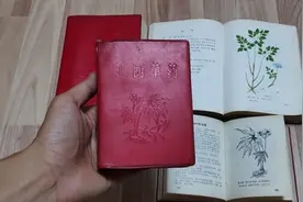 收藏类:文革江西草药中草药手册，插图验方彩图版非常漂亮视频封面