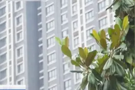 女子经人介绍认识“房产开发商”,交10万元“诚意金”后，倒霉了！视频封面