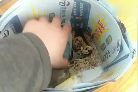 小仓鼠逃出笼子，藏的地方太隐秘了，没想到却是在这个地方！