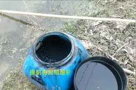 腐殖酸钠杀青苔浓度和时间是关键视频封面