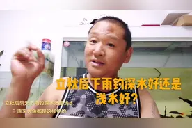 立秋后下雨钓深水好还是浅水好？立秋阴天下雨钓多深水好？钓鲤鱼