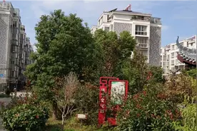 江苏南通某个镇上拆迁小区。绿化别有风格。市区基本上看不到吧视频封面