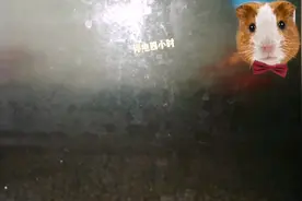 家里的鱼缸停电四小时