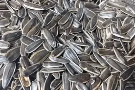 葵花籽这样炒，干干净净，不脏手，香甜脆爽