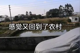 佛山南海也有这样偏僻的地方，感觉又回到了乡村