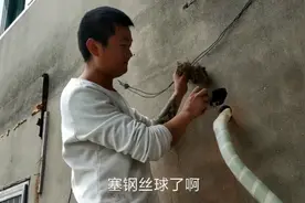 空调墙洞里面有老鼠，小哥教你一招，省钱省力视频封面