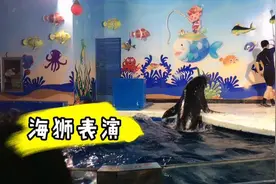 北京宝妈带两岁宝宝去海洋馆，来看海狮表演，好可爱