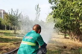 济南小清河岸边，因为一直不下雨，园林师傅在忙着浇水视频封面