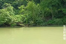高压电杆掉根线到河里了，情况尚不明确，过往船只须注意安全视频封面