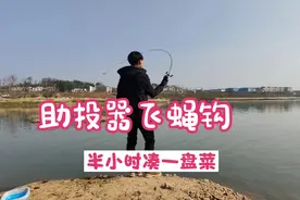 春季白条没有完全来到表层 可以选择沉水助投器加飞蝇钩 照样连杆视频封面