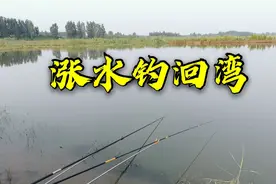 野河涨水必钓洄水湾，洄水湾怎么选，钓友你知道吗？