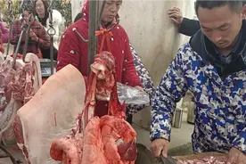 河南农村猪肉大降价！21块一斤，小娟和老公大清早去割肉，人真多